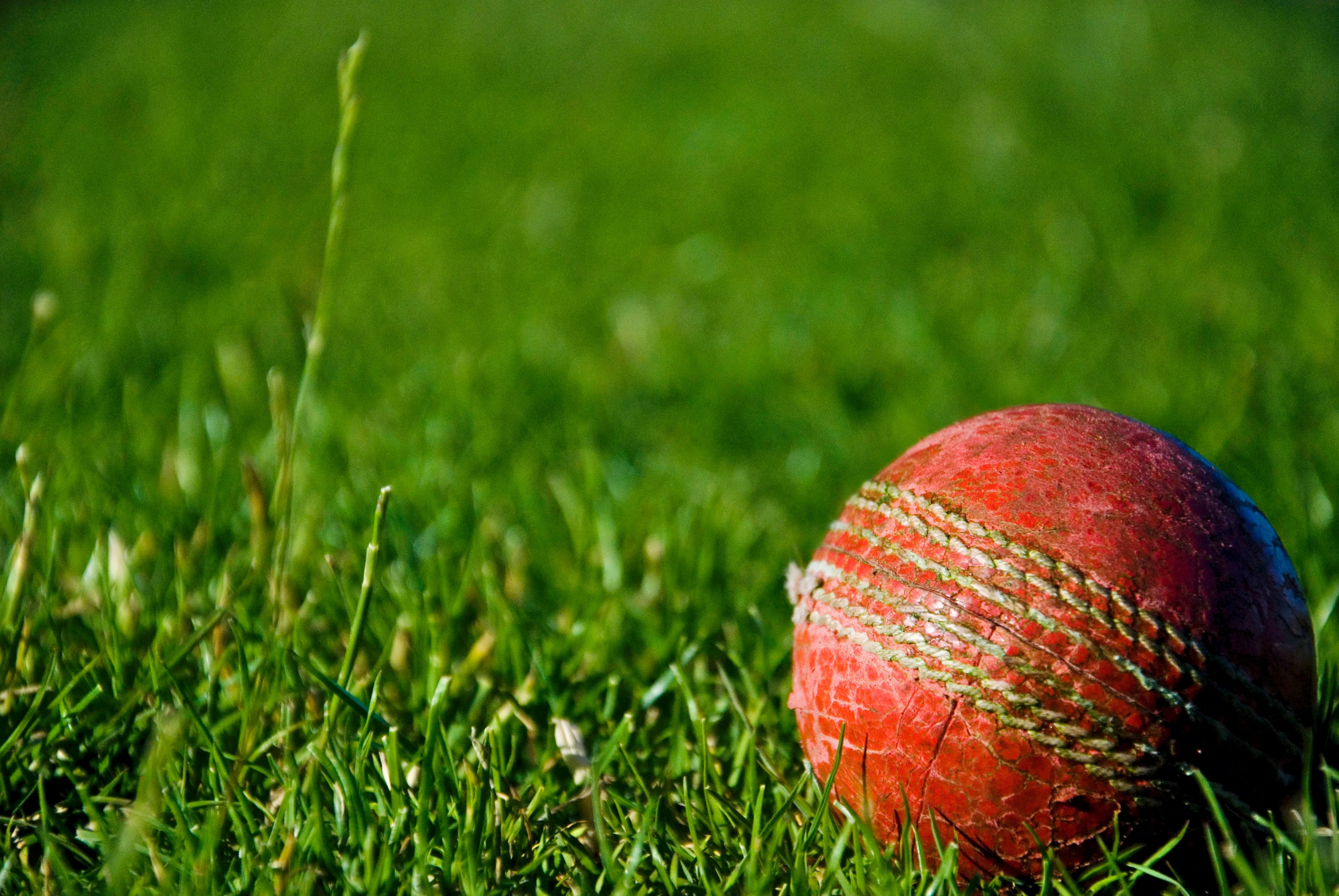 A red cricket ball pictured on the grass